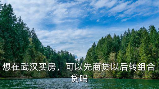 在武漢商貸怎么轉成組合貸,想在武漢買房