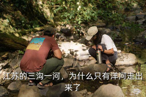 江蘇的三溝一河，為什么只有洋河走出來了
