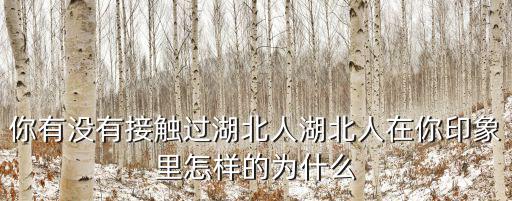 你有沒有接觸過湖北人湖北人在你印象里怎樣的為什么