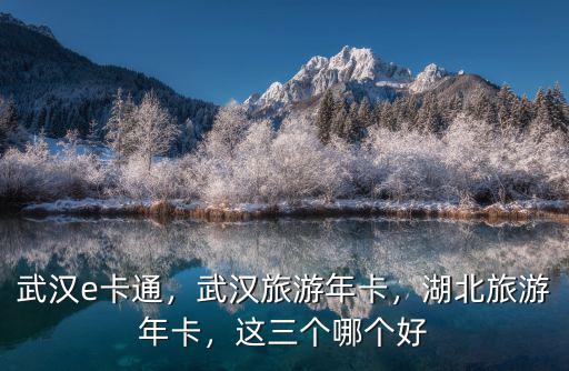 孩子怎么買湖北省旅游年卡,武漢旅游年卡