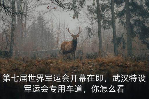 武漢軍運(yùn)會(huì)開幕式片斷怎么寫,2019武漢軍運(yùn)開幕式