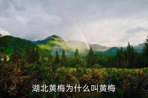 湖北黃梅為什么叫黃梅