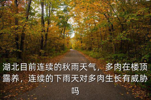湖北目前連續的秋雨天氣，多肉在樓頂露養，連續的下雨天對多肉生長有威脅嗎