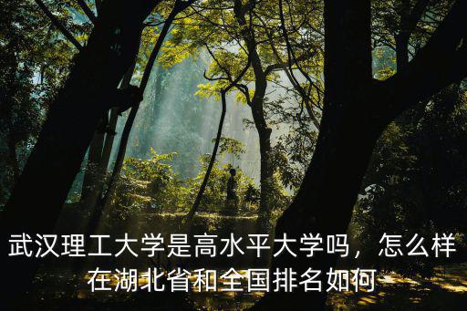 武漢理工大學是高水平大學嗎，怎么樣在湖北省和全國排名如何