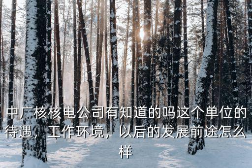 中廣核核電公司有知道的嗎這個(gè)單位的待遇，工作環(huán)境，以后的發(fā)展前途怎么樣