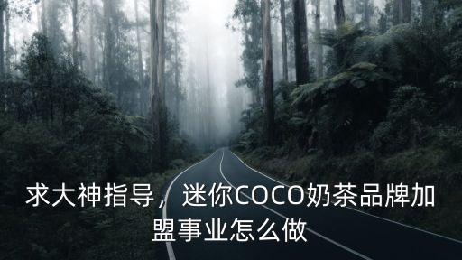 coco奶茶個人怎么加盟湖北,加盟coco奶茶