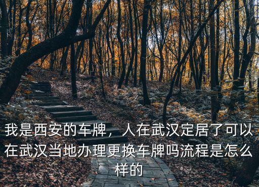 我是西安的車牌，人在武漢定居了可以在武漢當地辦理更換車牌嗎流程是怎么樣的