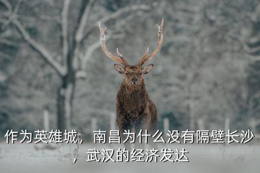 武漢南昌經濟怎么樣,武漢的經濟發達