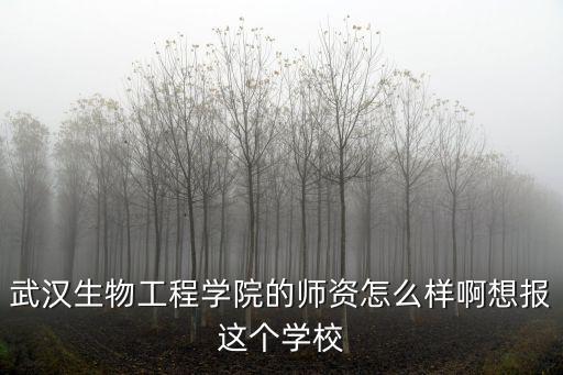 武漢生物工程學院的師資怎么樣啊想報這個學校