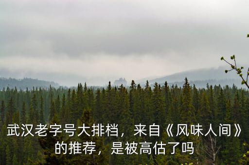 風味人間武漢燒鳳爪怎么做,燒椒鳳爪怎么做