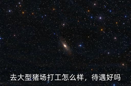 去大型豬場打工怎么樣，待遇好嗎