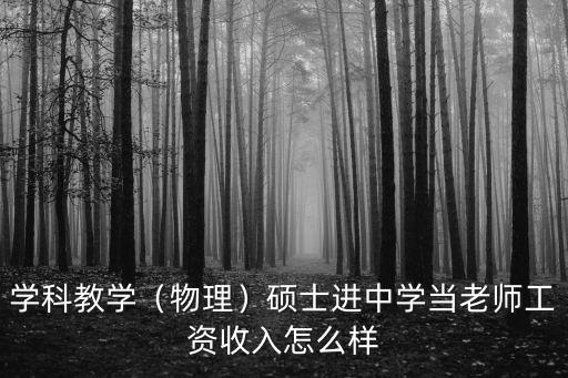 學(xué)科教學(xué)（物理）碩士進(jìn)中學(xué)當(dāng)老師工資收入怎么樣