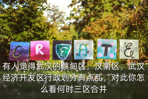 武漢開發區經信局怎么樣,武漢經濟開發區怎么樣
