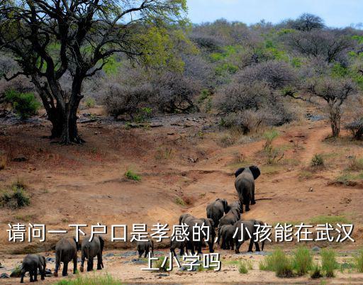 請問一下戶口是孝感的，小孩能在武漢上小學嗎