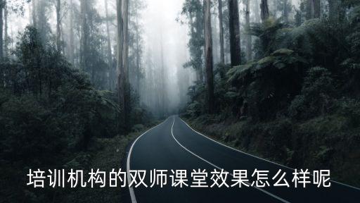培訓機構的雙師課堂效果怎么樣呢