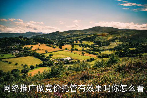 網(wǎng)絡(luò)推廣做競價托管有效果嗎你怎么看