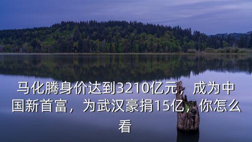 馬化騰身價達到3210億元，成為中國新首富，為武漢豪捐15億，你怎么看