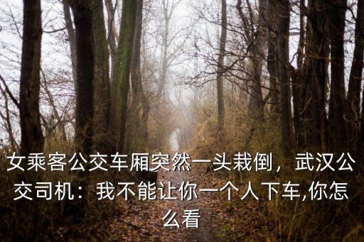 女乘客公交車(chē)廂突然一頭栽倒，武漢公交司機(jī)：我不能讓你一個(gè)人下車(chē),你怎么看