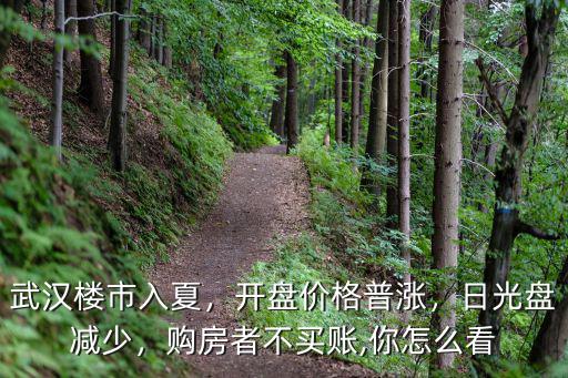 武漢樓市入夏，開盤價格普漲，日光盤減少，購房者不買賬,你怎么看