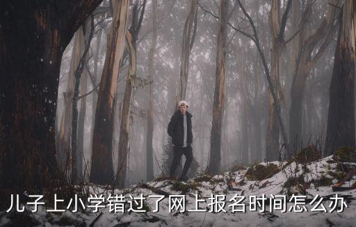兒子上小學錯過了網(wǎng)上報名時間怎么辦