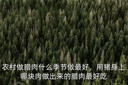 農村做臘肉什么季節做最好，用豬身上哪塊肉做出來的臘肉最好吃