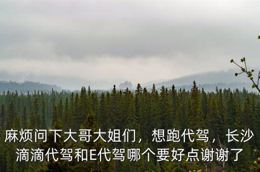 麻煩問下大哥大姐們，想跑代駕，長沙滴滴代駕和E代駕哪個要好點謝謝了