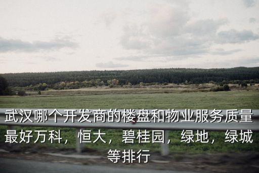 武漢哪個開發商的樓盤和物業服務質量最好萬科，恒大，碧桂園，綠地，綠城等排行