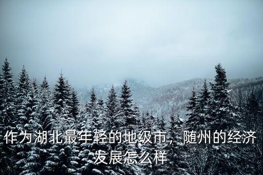 作為湖北最年輕的地級市，隨州的經濟發展怎么樣