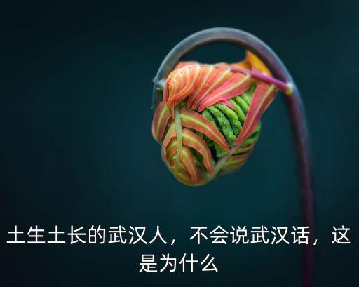 土生土長(zhǎng)的武漢人，不會(huì)說(shuō)武漢話，這是為什么