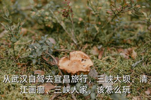 武漢自駕宜昌兩天怎么玩,從武漢自駕去宜昌旅行