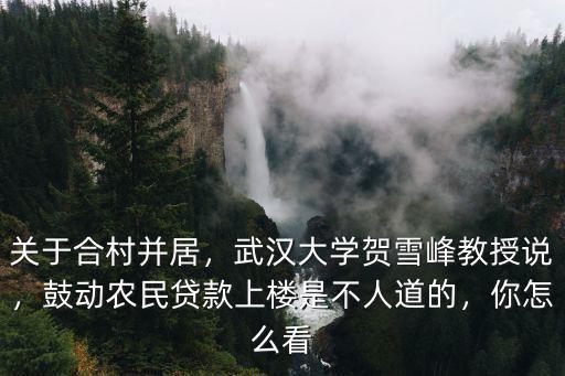 關于合村并居，武漢大學賀雪峰教授說，鼓動農民貸款上樓是不人道的，你怎么看