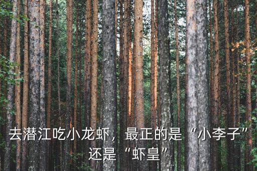 去潛江吃小龍蝦，最正的是“小李子”還是“蝦皇”