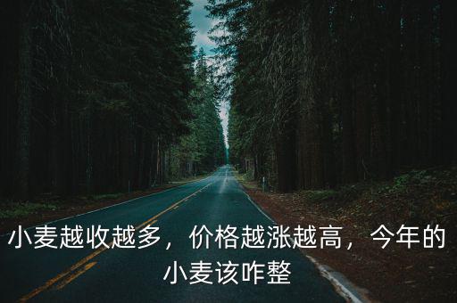 小麥越收越多，價格越漲越高，今年的小麥該咋整