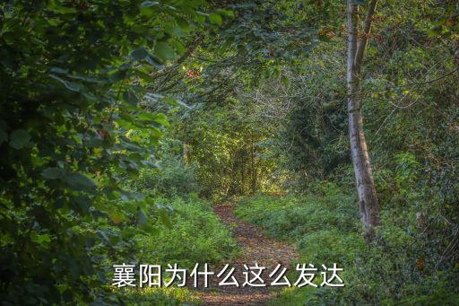 襄陽怎么這么窮,襄陽為什么這么發達