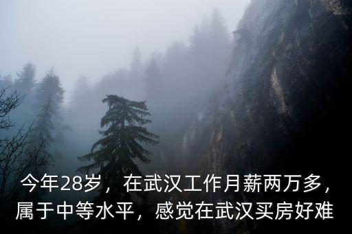 今年28歲，在武漢工作月薪兩萬多，屬于中等水平，感覺在武漢買房好難