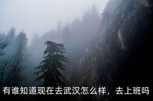 有誰知道現(xiàn)在去武漢怎么樣，去上班嗎