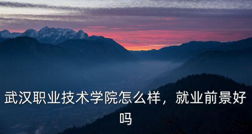 武漢職業技術學院怎么樣，就業前景好嗎