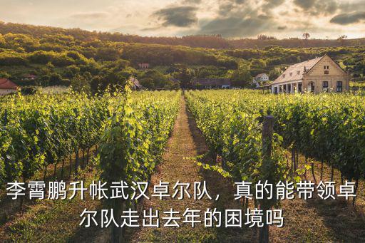 武漢卓爾隊怎么找隊員,李霄鵬升帳武漢卓爾隊