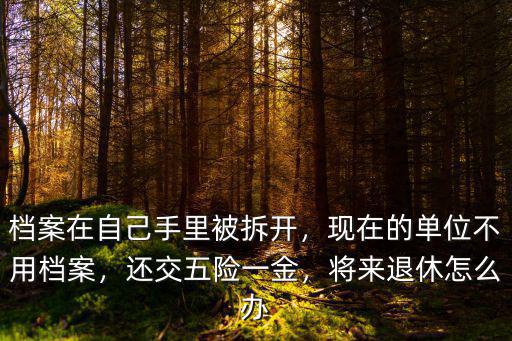 檔案在自己手里被拆開，現在的單位不用檔案，還交五險一金，將來退休怎么辦