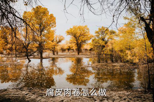 湖北潛江肉卷怎么做,雞肉卷怎么做