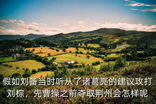 假如劉備當時聽從了諸葛亮的建議攻打劉棕，先曹操之前奪取荊州會怎樣呢