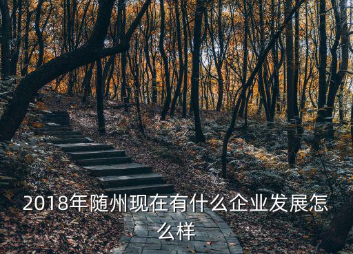 2018年隨州現在有什么企業發展怎么樣