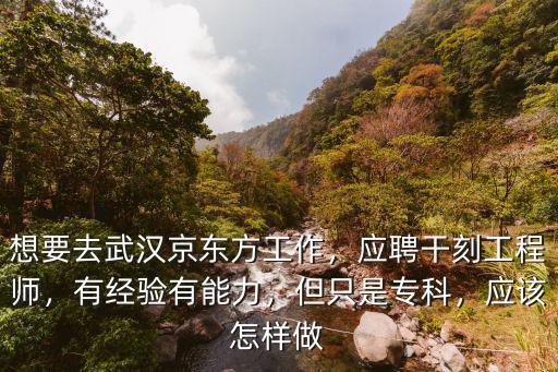 想要去武漢京東方工作，應聘干刻工程師，有經驗有能力，但只是專科，應該怎樣做