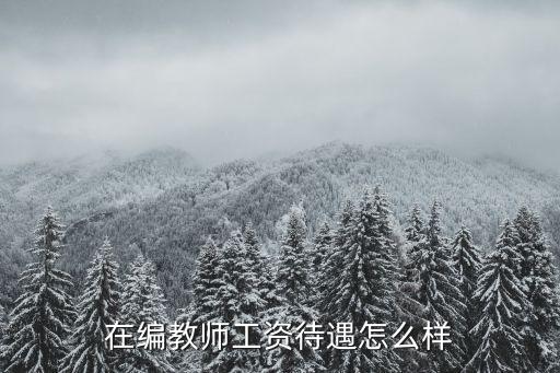 在編教師工資待遇怎么樣