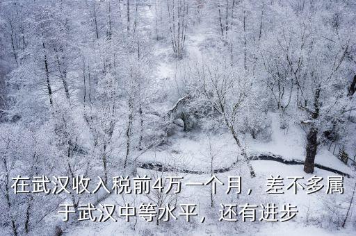 武漢一個(gè)月2萬(wàn)工資怎么樣,在武漢收入稅前4萬(wàn)一個(gè)月