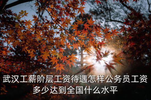 武漢工薪階層工資待遇怎樣公務(wù)員工資多少達(dá)到全國(guó)什么水平