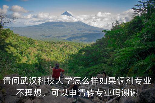 武漢科技大學(xué)的會計專業(yè)怎么樣,請問武漢科技大學(xué)怎么樣