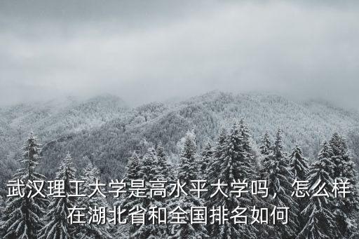 武漢理工大學是高水平大學嗎，怎么樣在湖北省和全國排名如何