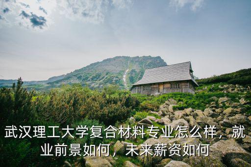 武漢理工大學復合材料專業怎么樣，就業前景如何，未來薪資如何