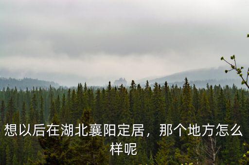 想以后在湖北襄陽定居，那個(gè)地方怎么樣呢